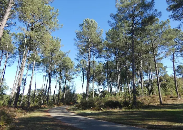 La Bourdaine Holiday home *